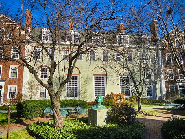 school of business